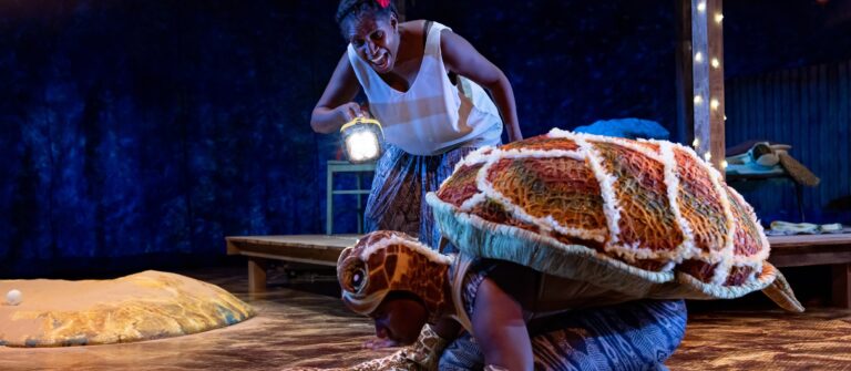 Waru: Journey of the Small Turtle