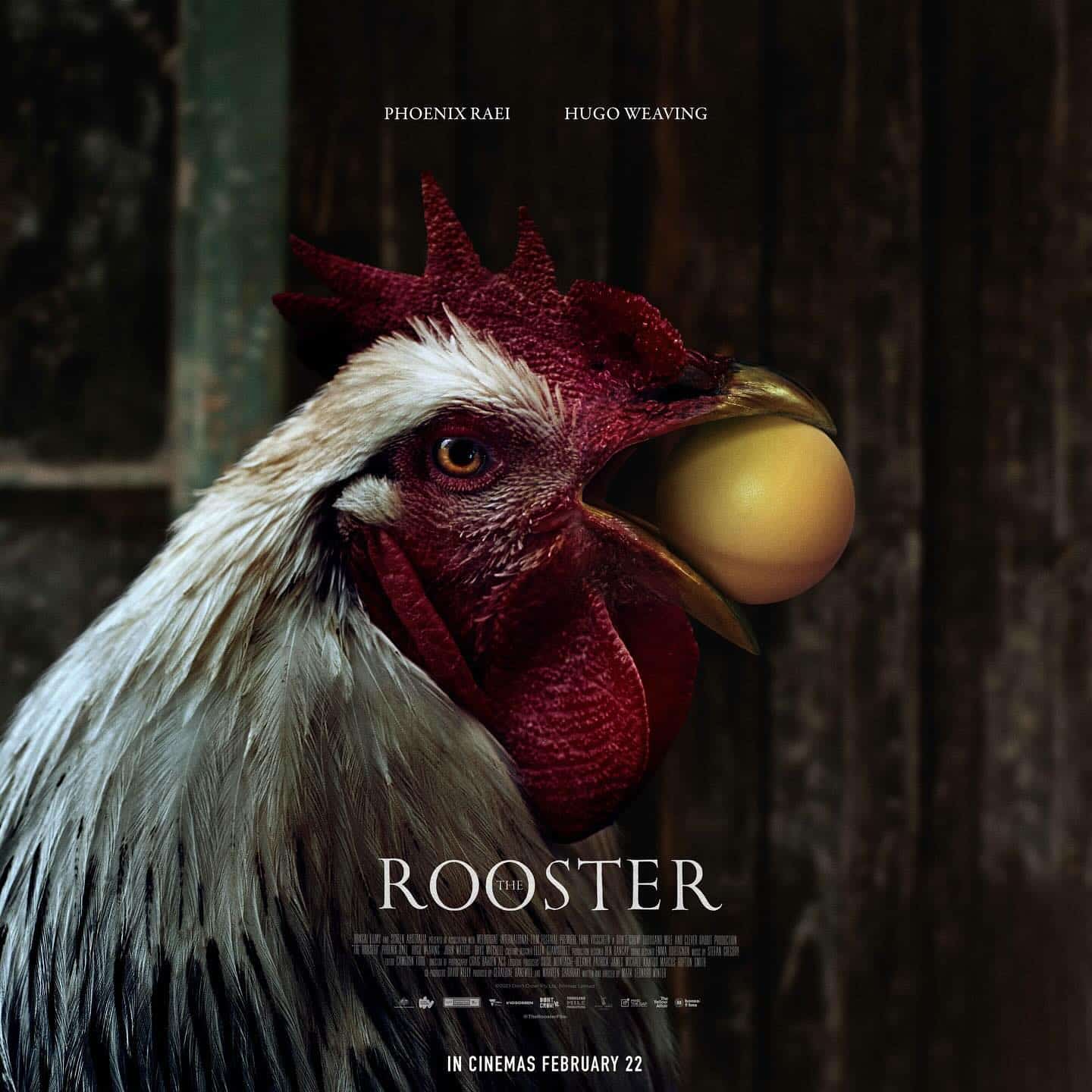 The Rooster Film Review