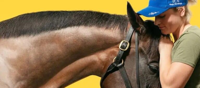 A HORSE NAMED WINX - Whats The Show A HORSE NAMED WINX