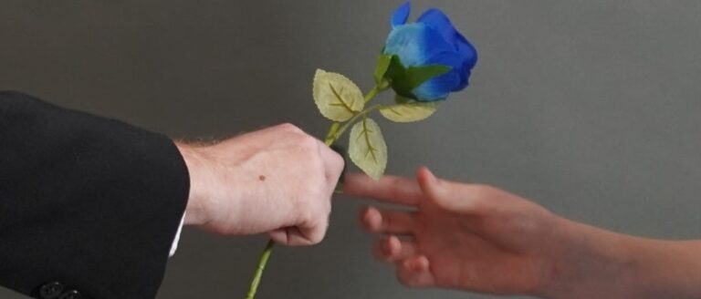 The Glass Menagerie - Whats The Show The Glass Menagerie