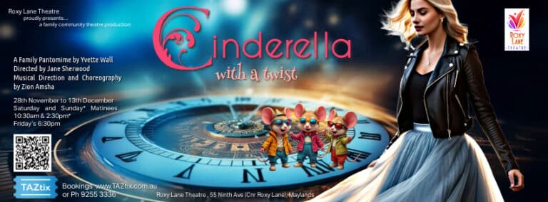 Cinderella With A Twist