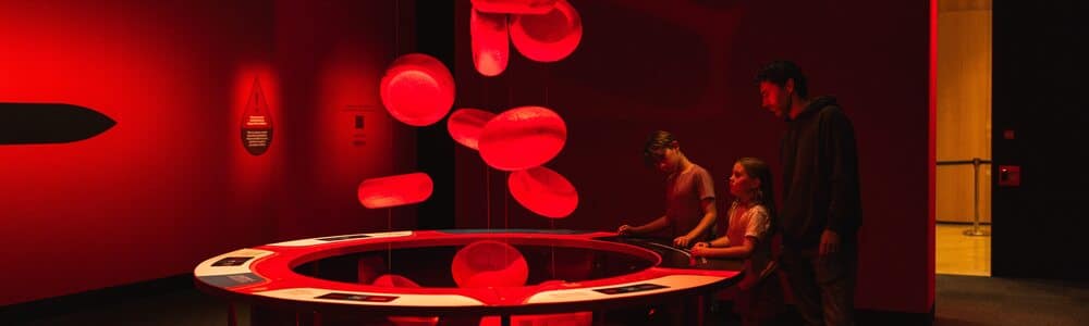 Feature-Bloodsuckers: Nature’s Vampires