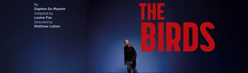 The Birds