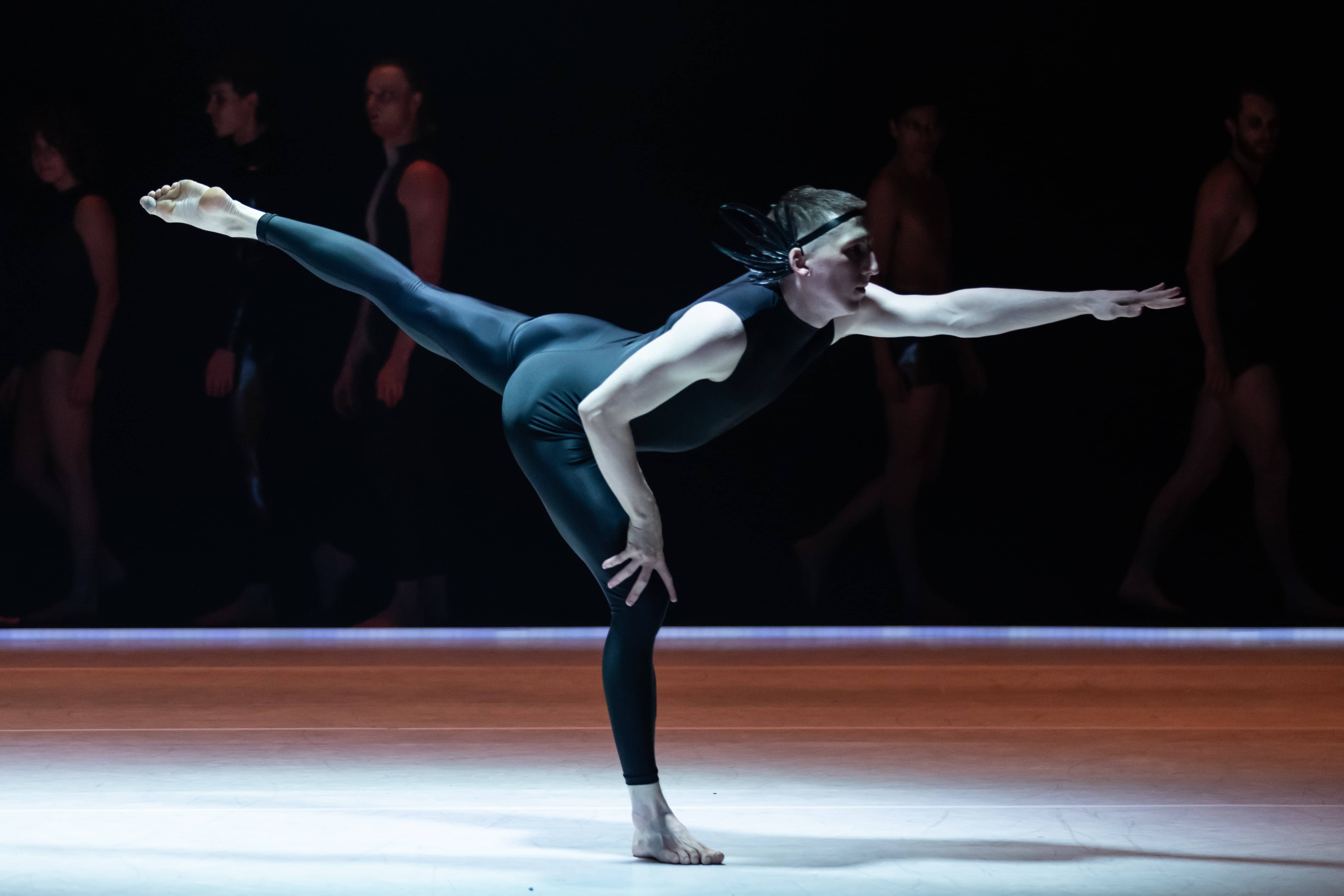 dancecompany.jpg