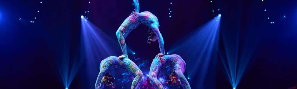 Feature-Cirque Alice